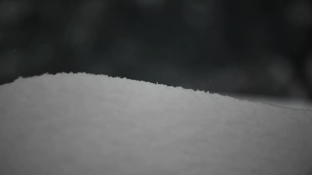 Imagens Fundo Árvore Neve — Vídeo de Stock