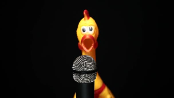 Кадры Микрофона Резиновый Цыпленок Темный Фон — стоковое видео