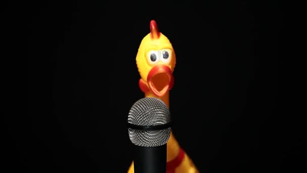 Footage Microphone Rubber Chicken Dark Background — Video Stock