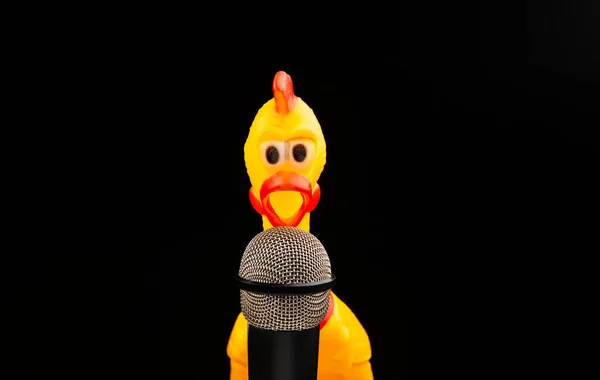 Image Microphone Rubber Chicken Dark Background — Stockfoto