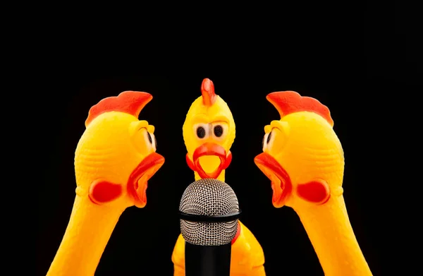 Image Microphone Rubber Chicken Dark Background — Stockfoto