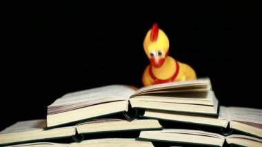 Kitap kauçuk tavuk koyu arkaplan görüntüleri 