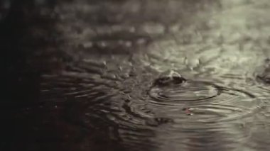 footage of pool rain drop