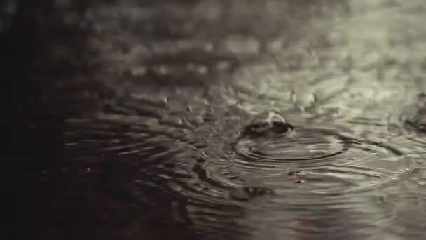Imagini Picătură Ploaie Piscină — Videoclip de stoc