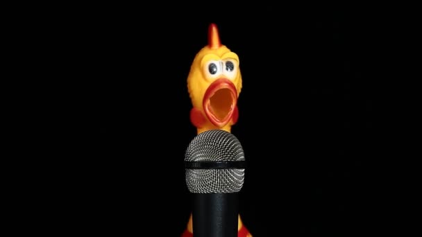 Footage Microphone Rubber Chicken Dark Background — 图库视频影像