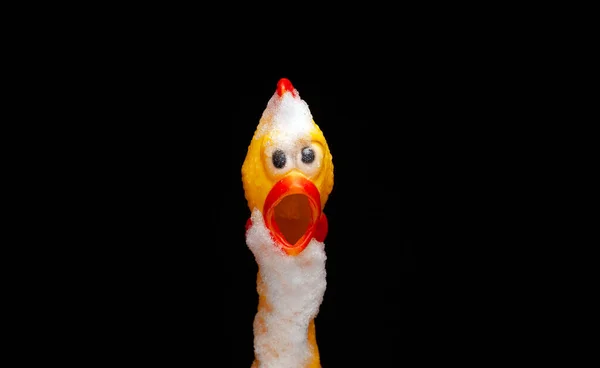 Image Rubber Chicken Snow Dark Background — Zdjęcie stockowe