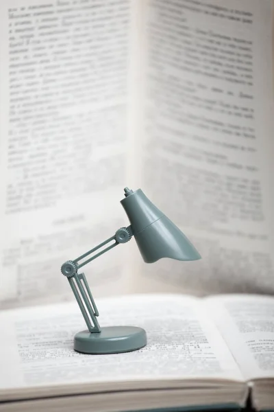 Afbeelding Van Boek Miniatuur Lamp — Stockfoto