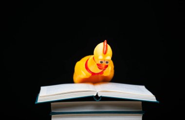 Kauçuk tavuk resmi koyu arkaplan