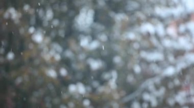 Kar ağacı arkaplanının görüntüleri