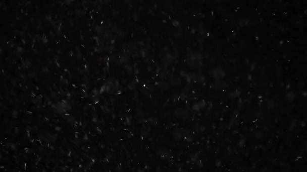 먼지로 뒤덮인 어두운 — 비디오