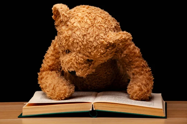 Imagem Urso Livro Fundo Escuro Fotografia De Stock