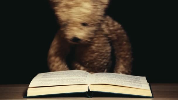 Záběry Knihy Vlna Medvěd Tmavé Pozadí — Stock video