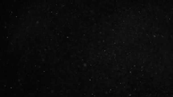 Footage Dust Dark Background — Stock Video © GORLOV #546052560
