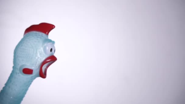 Footage Rubber Chicken White Background — Stock Video