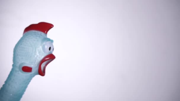 footage of rubber chicken white background 