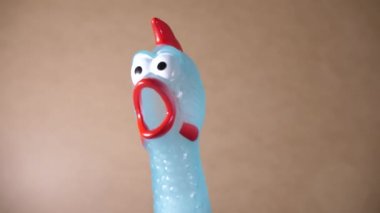 Lastik tavuk görüntüleri 
