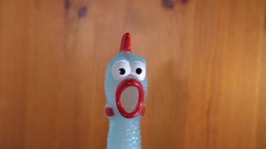 Lastik tavuk görüntüleri 