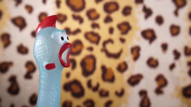 Materiał Filmowy Kurczaka Gumowego — Wideo stockowe