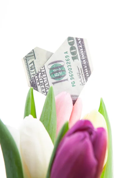 stock image image of tulip flower money white background 