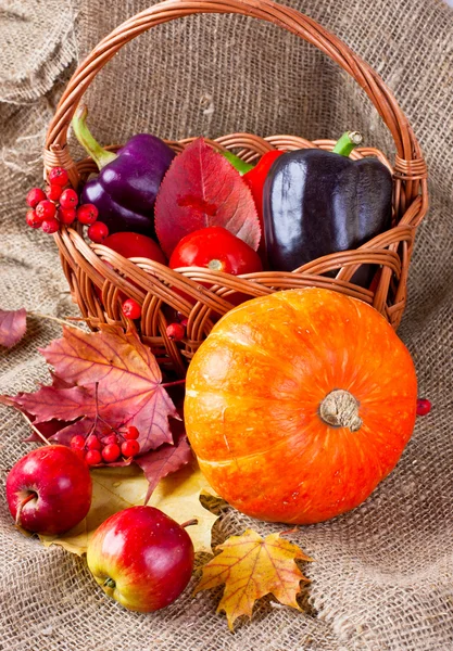 Outono ainda vida de verduras, frutos e folhas — Fotografia de Stock