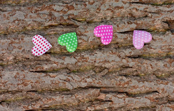 Colored hearts on the bark of pine — Stock Photo, Image