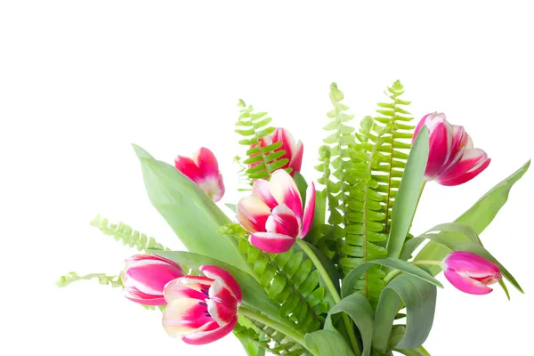 Strauß Tulpen — Stockfoto