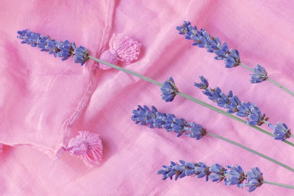 Lavendel auf einem rosa Schal. — Stockfoto