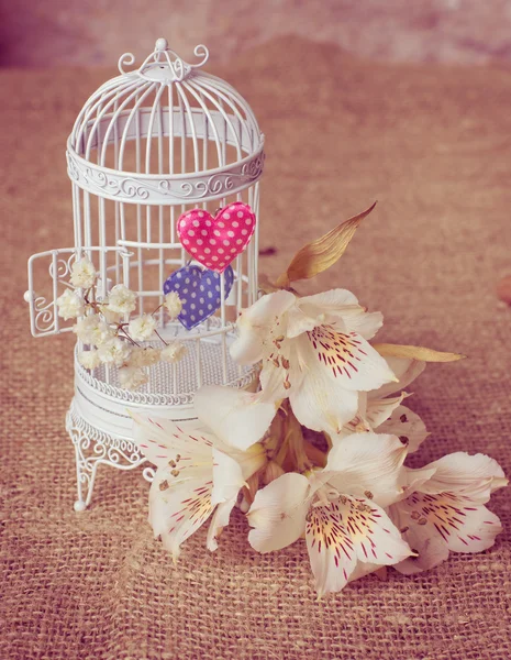 White cage with freesias and valentines — Stock Photo, Image