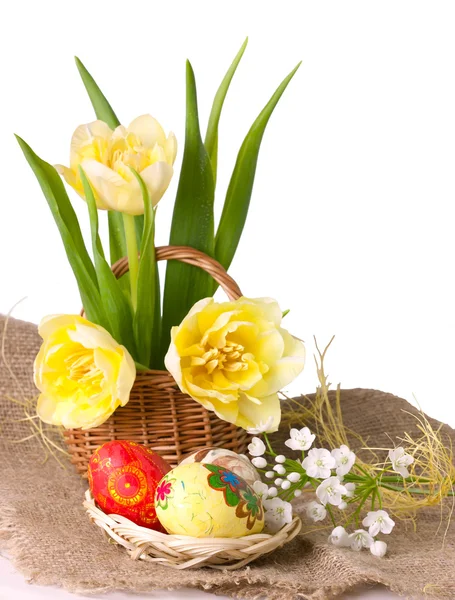 Easter eggs with  yellow tulips — Stock Photo, Image