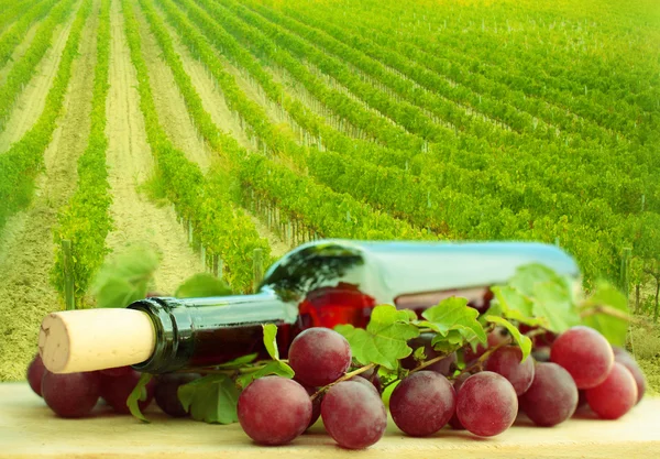 Виноград и красное вино бутылки на виноградниках — стоковое фото