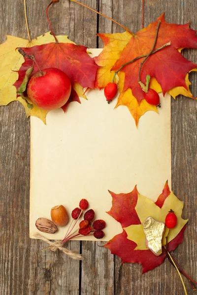 Frontiera autunnale mele e foglie cadute — Foto Stock