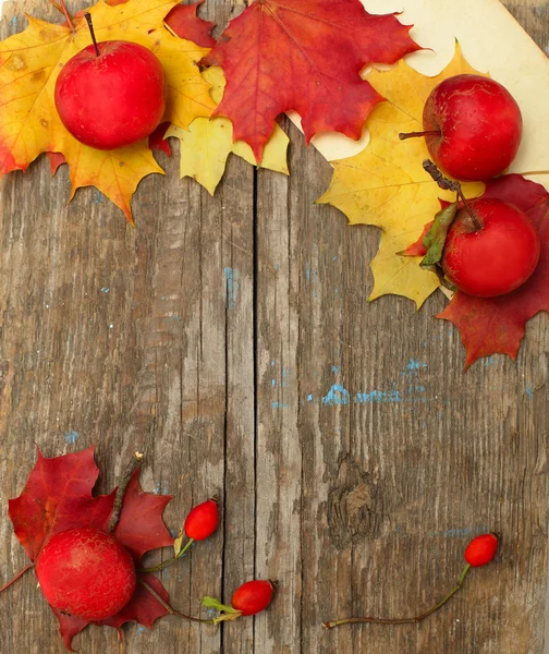 국경-가 사과, 장미 엉덩이 잎 — 스톡 사진
