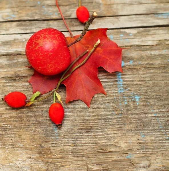 Thanksgiving day, background — Stock Photo, Image