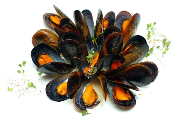 Mussels in wine sauces, gourmet food — Stock Photo, Image