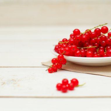 Kırmızı kuş üzümü