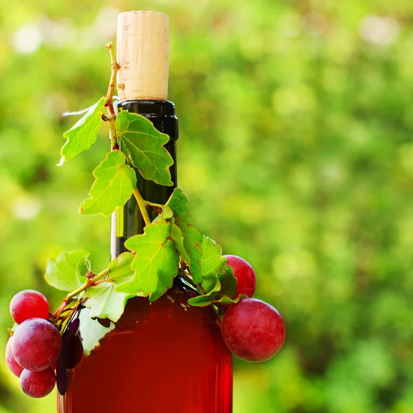 Красное вино с виноградом — стоковое фото