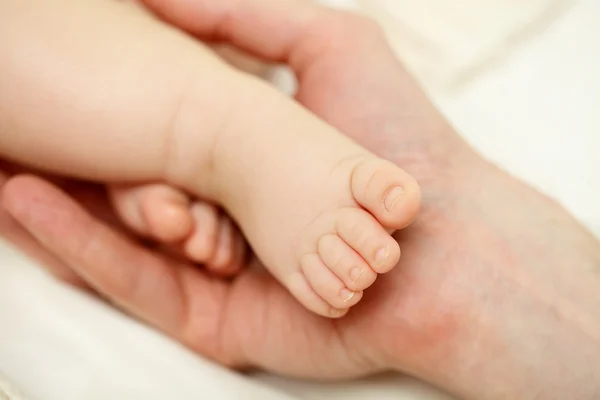 Little baby foot — Stock Photo, Image