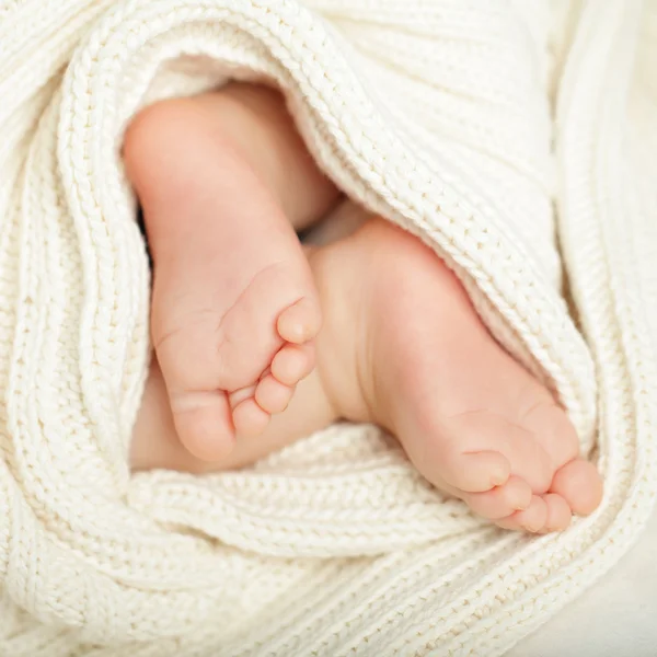 Yeni doğan feet — Stok fotoğraf