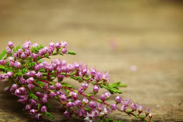 Flowers on wooden background — Stock Photo, Image