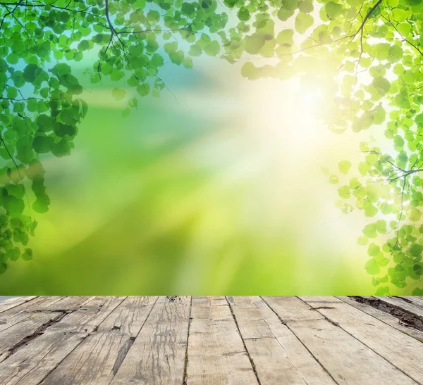 Vintage Retro Holztischplatte Mit Frühlingshaften Grünen Blättern Und Sonnenlicht Hintergrund — Stockfoto