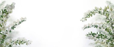 Spirea çiçek dallı bahar afişi