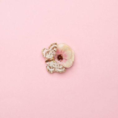 Minimum bahar kartı kompozisyonu ve çiçekte kelebek