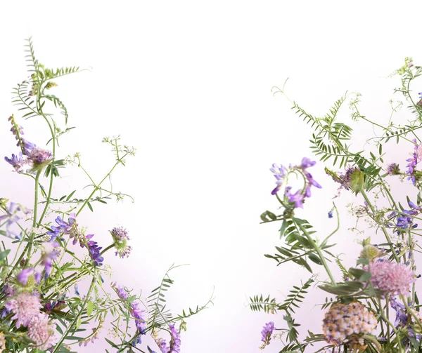 Schöne Abstrakte Florale Hintergrund Rand Mit Blumen — Stockfoto