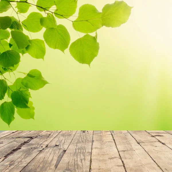 Empty Wood Plank Table Top Blur Park Green Leaves Nature — Stock Photo, Image