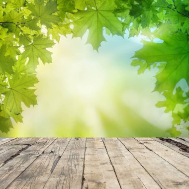 Tahta, yeşil yapraklar ve bulanık park ışığıyla bahar arkaplanı