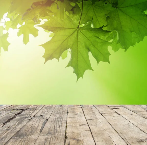 Fotokopi alanı ile bulanık doğa arkaplanı üzerindeki yeşil yapraklar ve eski ahşap tahta
