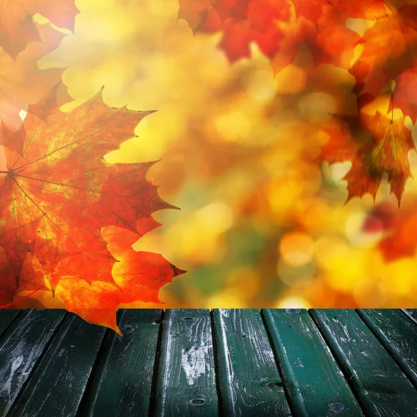 Herbstliche Ahornblätter Auf Dem Holztisch Fallen Hinterlässt Natürlichen Hintergrund — Stockfoto