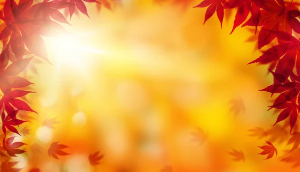 Herbst Natur Laub Blätter Hintergrund Mit Herbst Roten Blätterrand Goldenes — Stockfoto