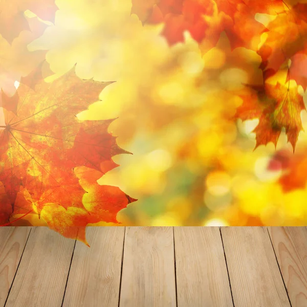Decoração Quadro Sazonal Outono Arranjado Com Folhas Outono Tempo Dourado — Fotografia de Stock