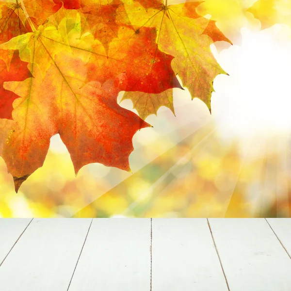 Golden Autumn Background Fall Leaves Wooden Planks — 스톡 사진